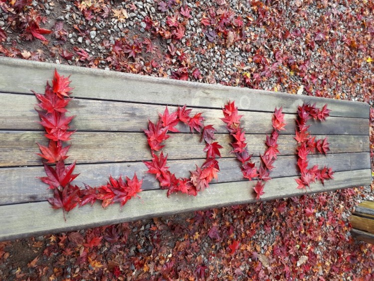 e05a0f42e4dd52b100c794139021b910_1573806